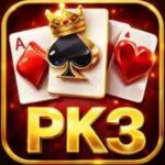 PAK3 Game Logo